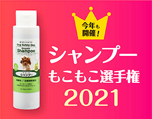 シャンプーもこもこ選手権2021