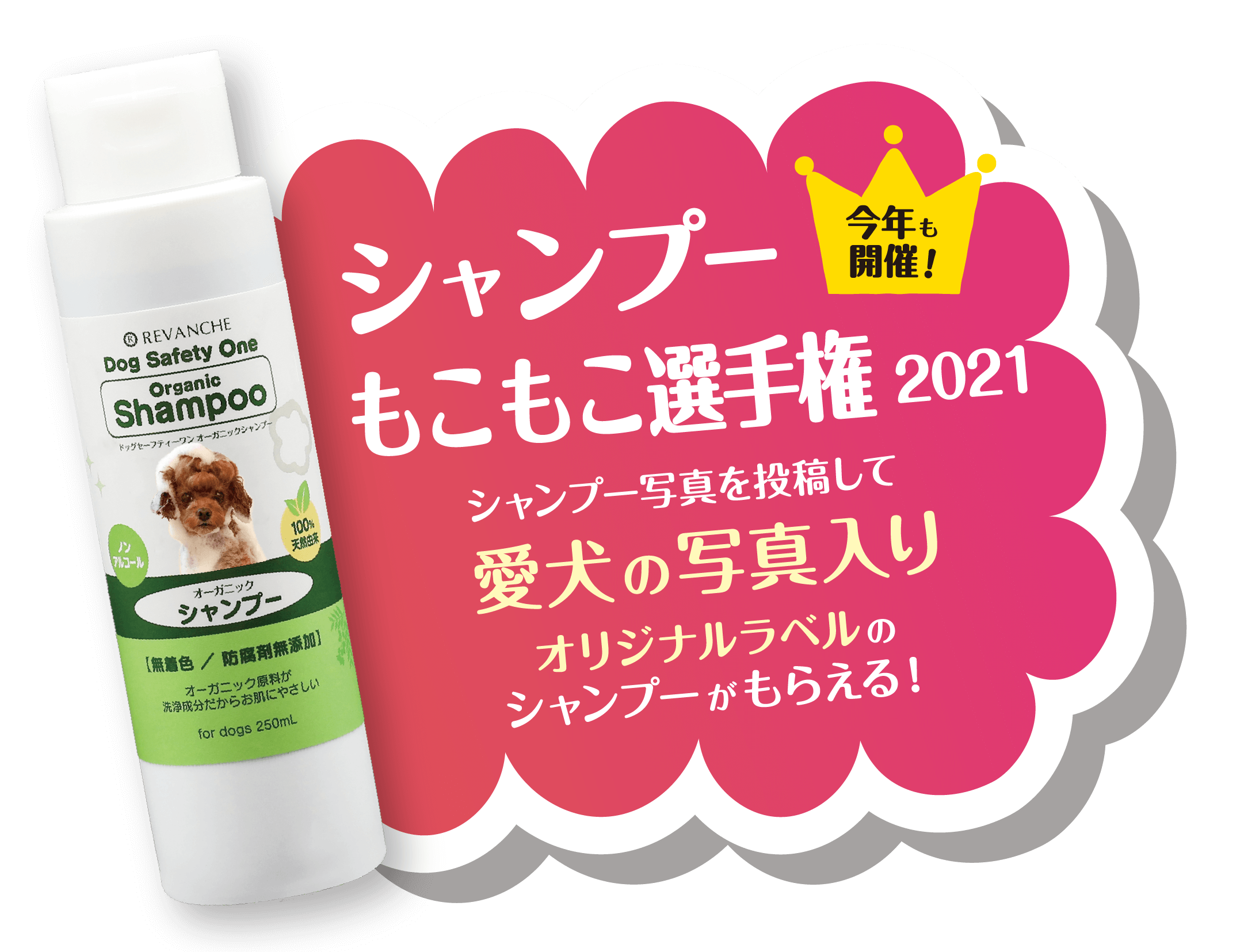 シャンプーもこもこ選手権 愛犬のシャンプー写真を投稿してDog Safety Oneオーガニックシャンプー250mlがもらえる!