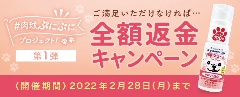 肉球クリーム全額返金キャンペーン　2月28日まで