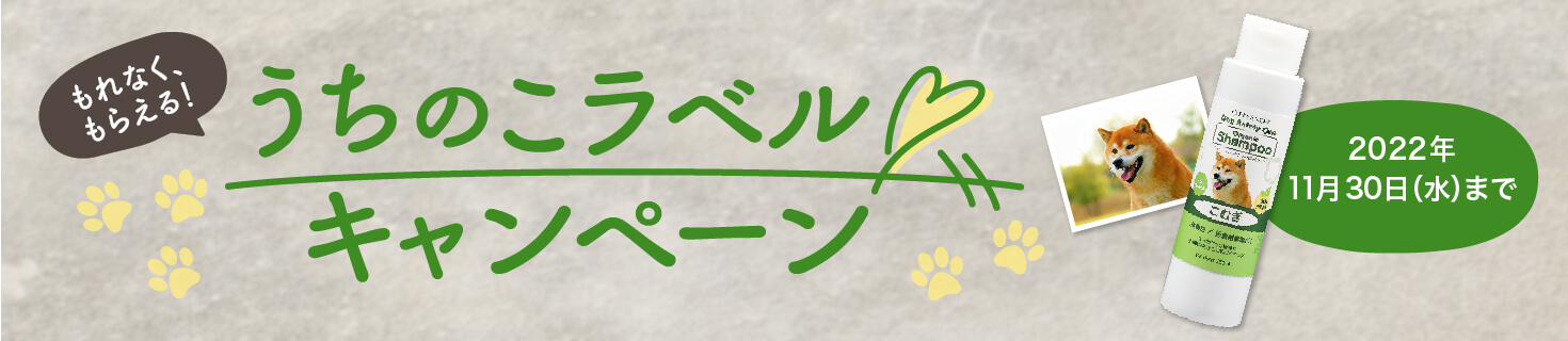 もれなくもらえる　うちのラベルキャンペーン　2022年11月30日（水）まで