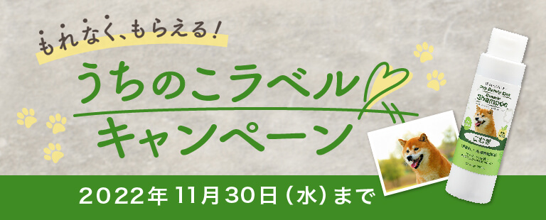 もれなくもらえる　うちのラベルキャンペーン　2022年11月30日（水）まで