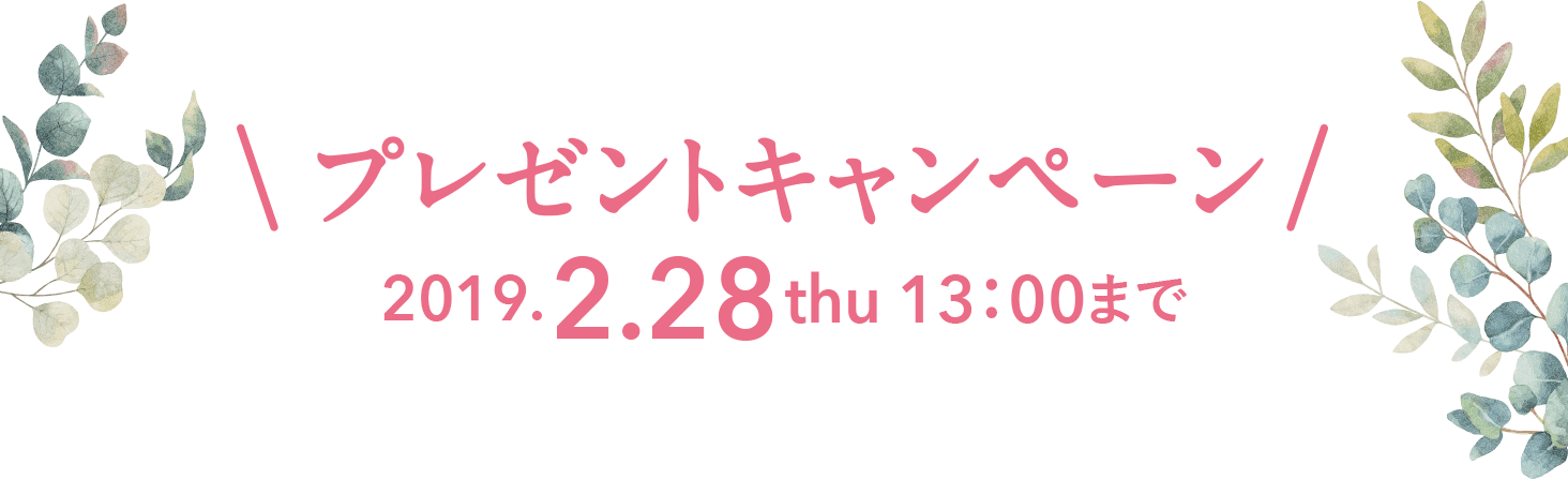 プレゼントキャンペーン 2019.2.28(木) 13:00まで