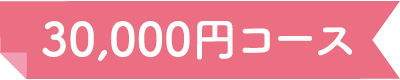 30000円コース