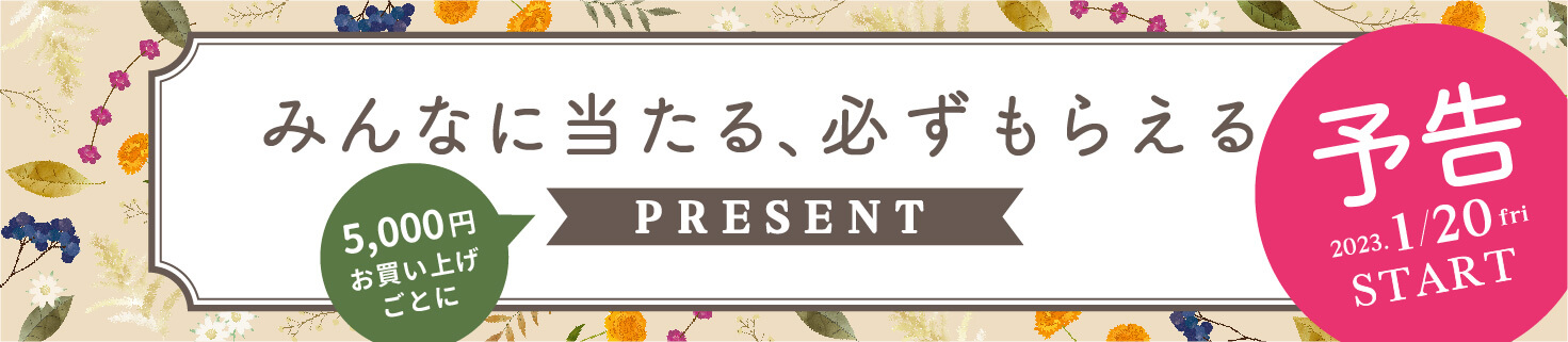 みんなに当たる、必ずもらえるプレゼント 1/20～