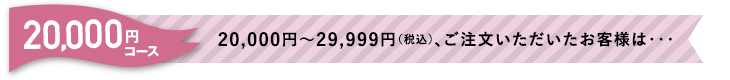 20,000円コース