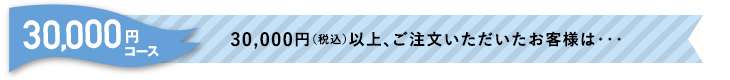 30,000円コース