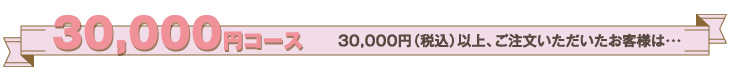 30,000円コース
