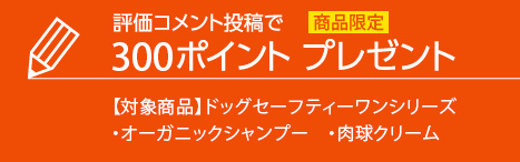 会員ランクシステム導入