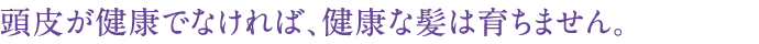 頭皮が健康でなければ、健康な髪は育ちません。